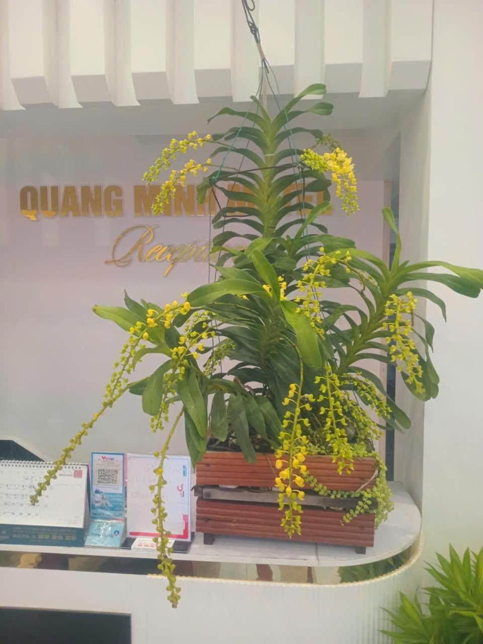 Quang Minh Hotel Ðố Sơn Εξωτερικό φωτογραφία