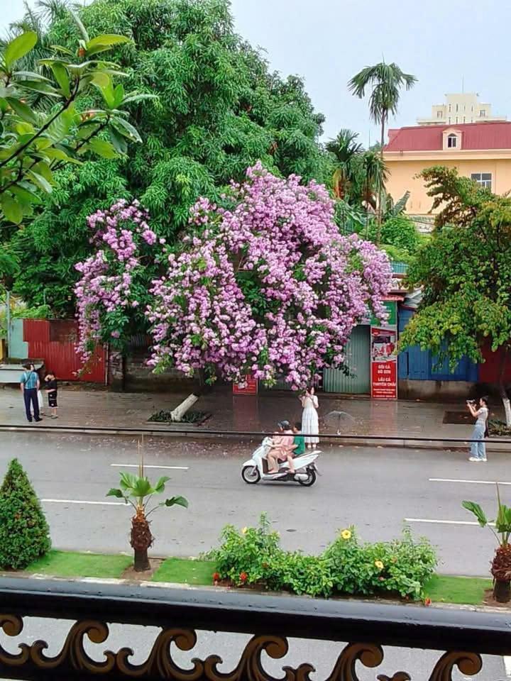 Quang Minh Hotel Ðố Sơn Εξωτερικό φωτογραφία